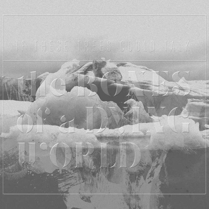 Cover of The Bones of a Dying World by If These Trees Could Talk