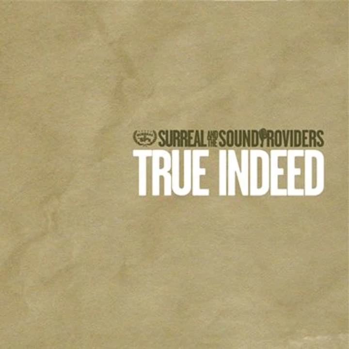 Cover of True Indeed by Sound Providers