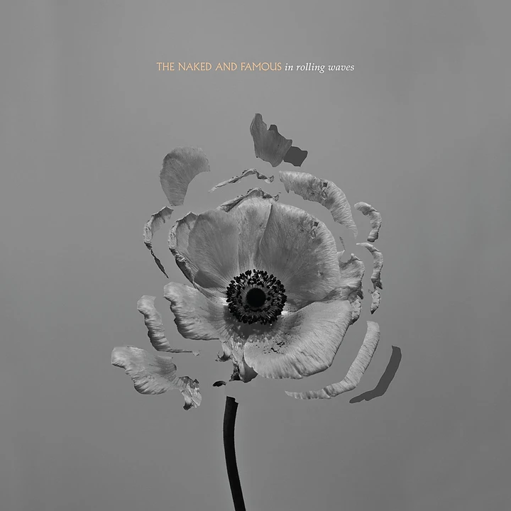Cover of In Rolling Waves by The Naked and Famous