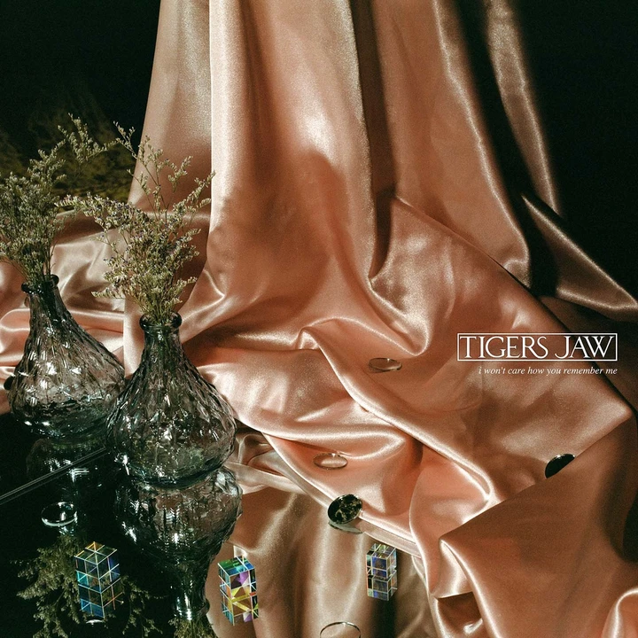 Cover of I Won't Care How You Remember Me by Tigers Jaw