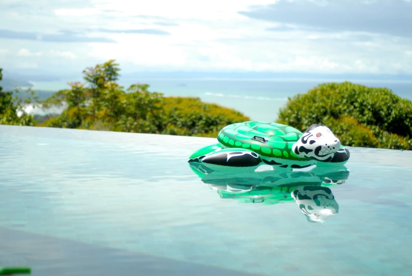 An inflatable turtle floating in a bright infinity pool overlooking the sea